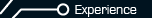 Experience