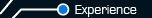 Experience